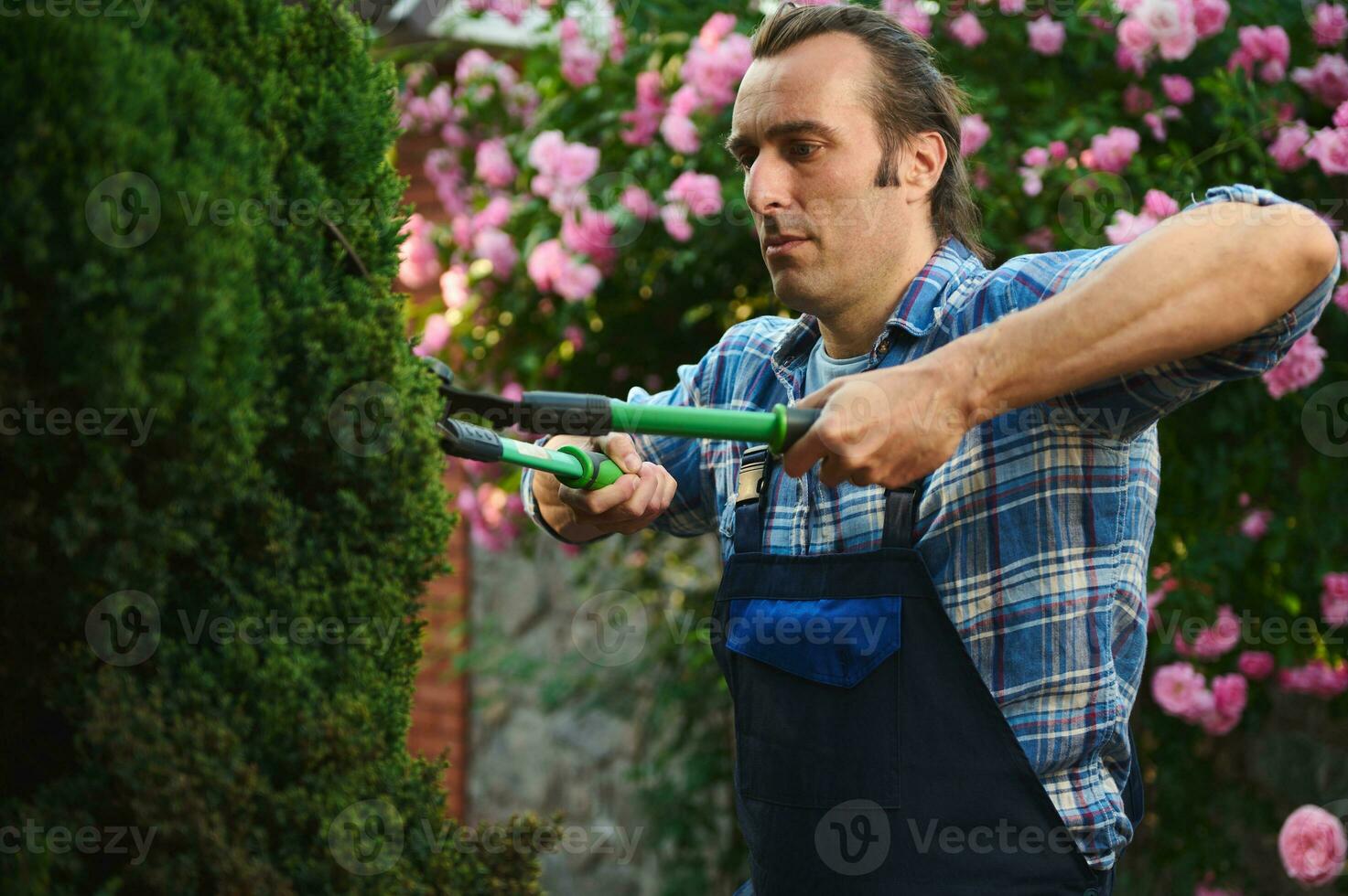 jardineiro homem dentro azul trabalhos uniforme, segurando podador e corte uma cerca dentro a jardim. casa e jardim decoração conceito foto