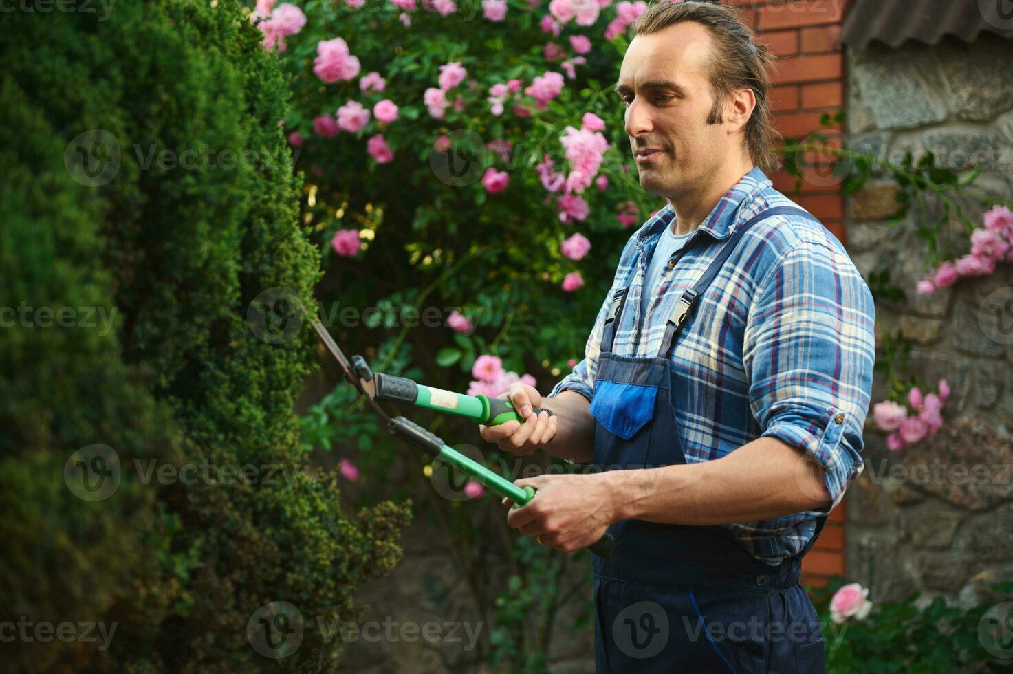 latim americano profissional masculino jardineiro corte plantas, usando poda tesoura de jardim para aparar e cuidando cerca dentro Jardim foto