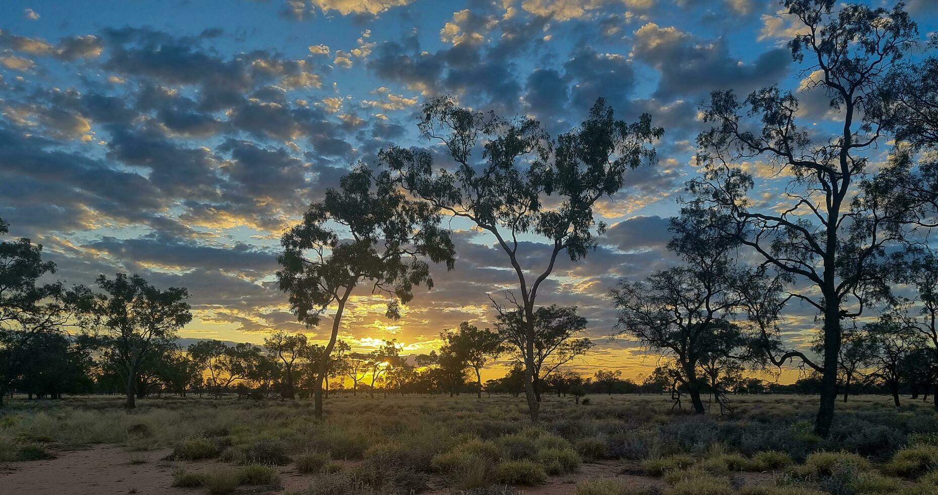 Charlotte planícies, queensland, Austrália foto