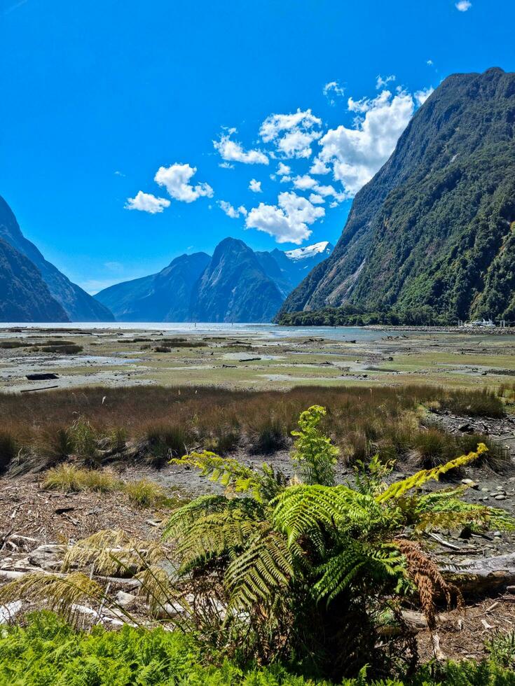 Milford som, zona sul, Novo zelândia foto