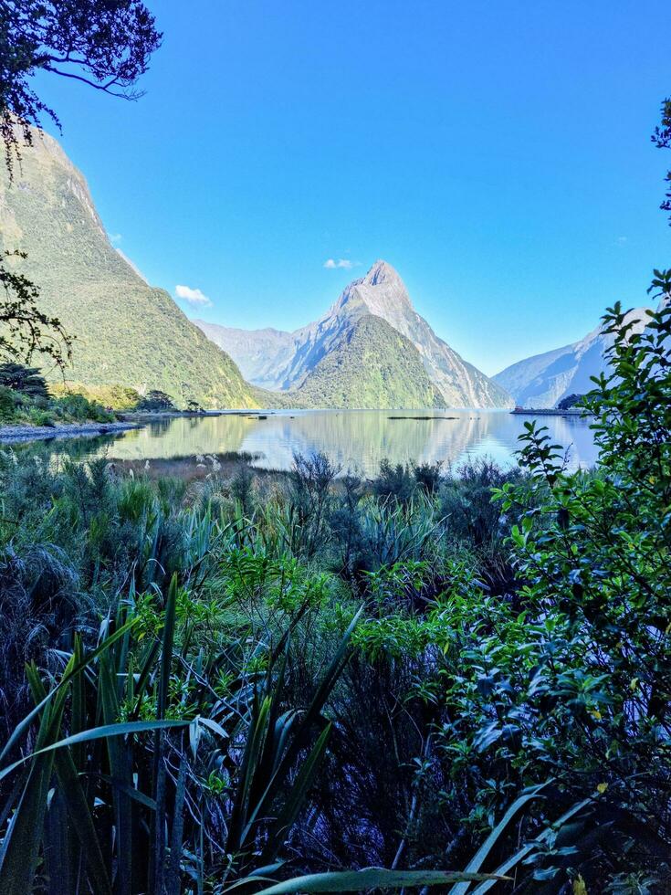 Milford som, zona sul, Novo zelândia foto