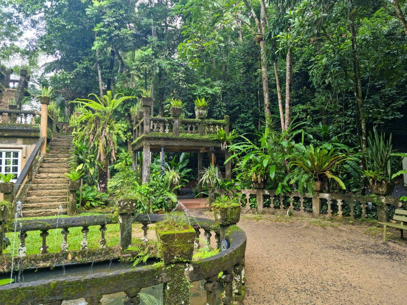 paronela parque, Queensland Austrália foto