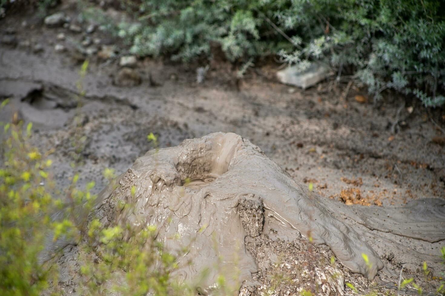 Rotorua térmicas, Novo zelândia foto