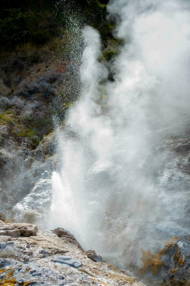 rottua térmicas, Novo zelândia foto