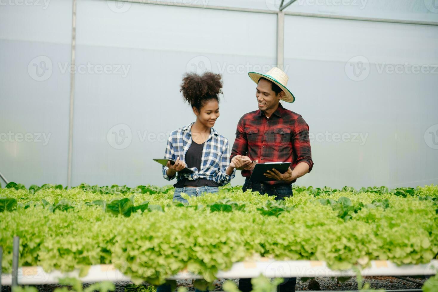 homem e mulher trabalhando em alface plantação dentro Fazenda usando tábua e computador portátil dentro estufa jardim. foto