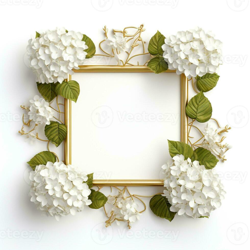 hortênsia floral quadrado quadro, Armação em branco fundo foto