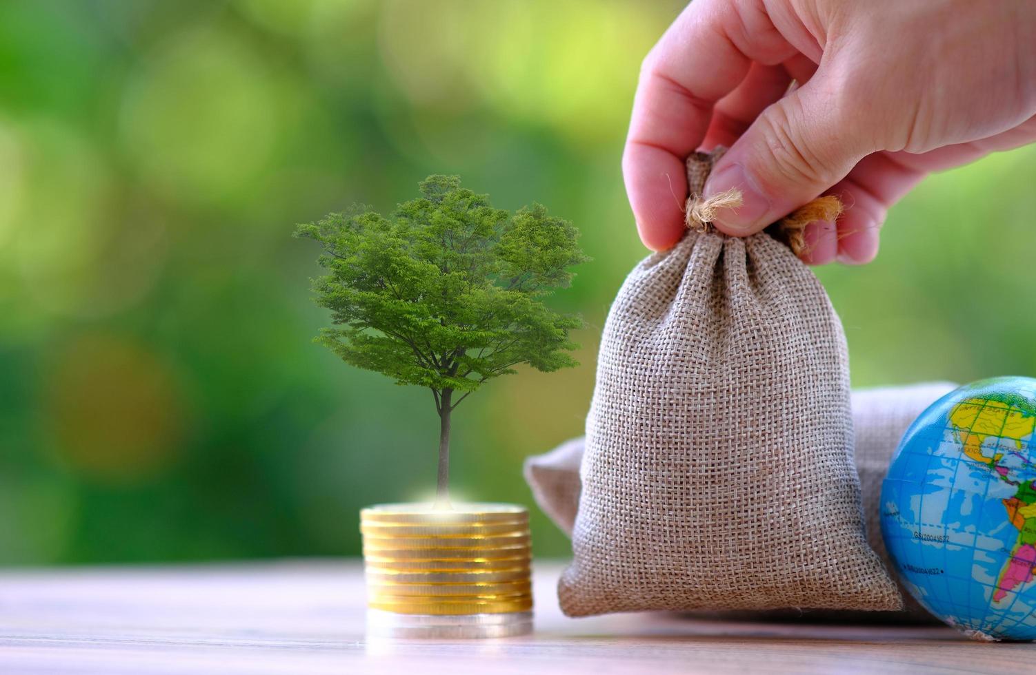 terra e moedas na mesa de madeira e economia de dinheiro e conceito de crescimento de negócios foto