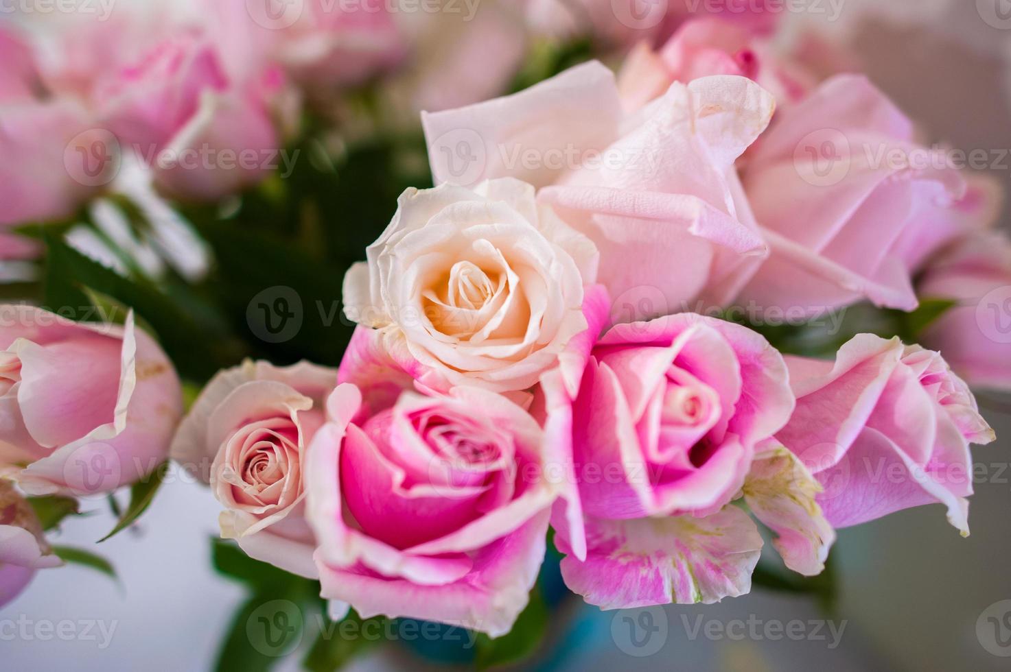 buquê de rosas fundo rosa desfoque dia dos namorados foto