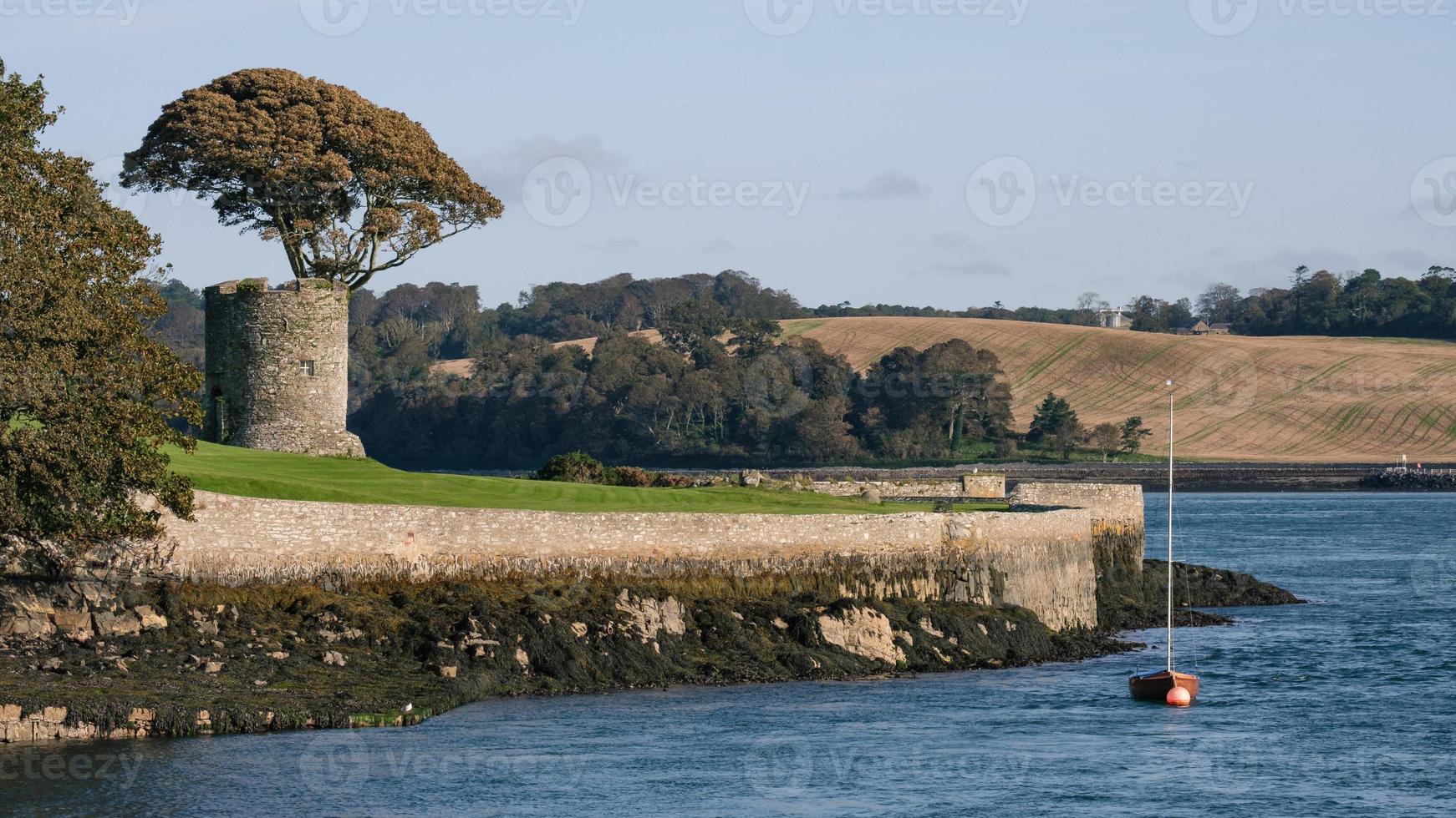 Strangford Port Northern Ireland UK foto