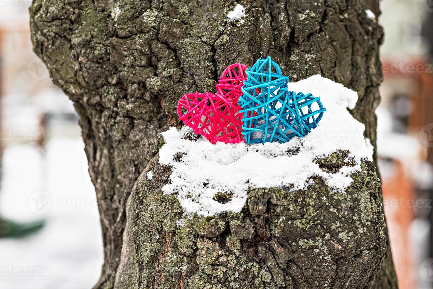 dois corações de vime rosa e azul em um tronco de árvore coberto de neve. o conceito de dia dos namorados foto