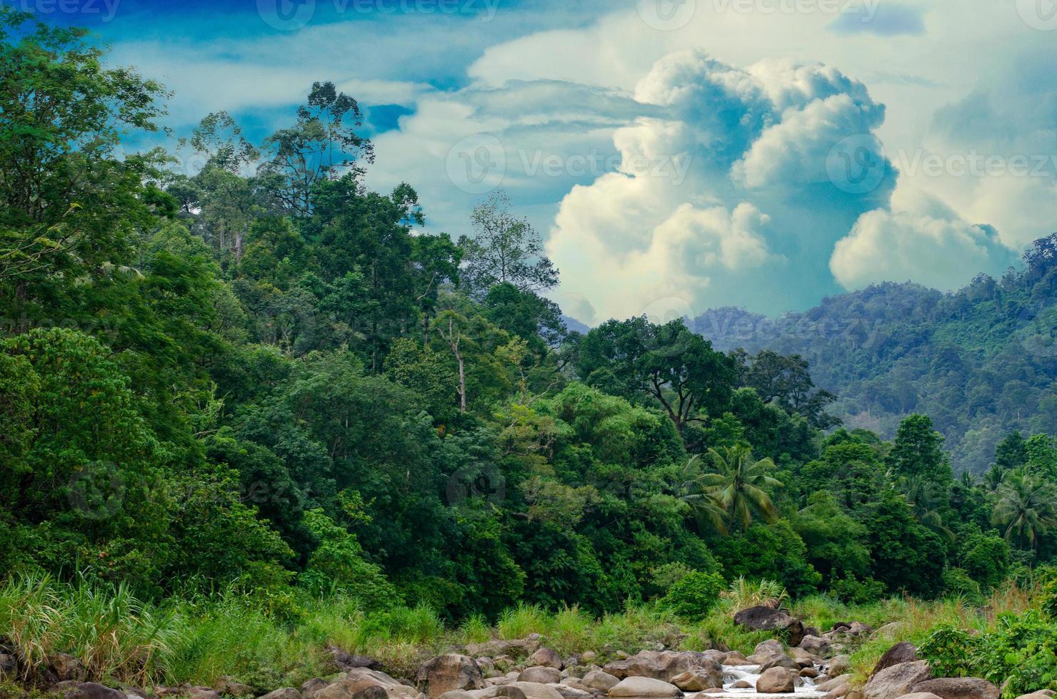 floresta khiriwong paisagem de pequeno rio e belo pôr do sol keeree wong ban khiri wong vila nakhon si thammarat tailândia foto