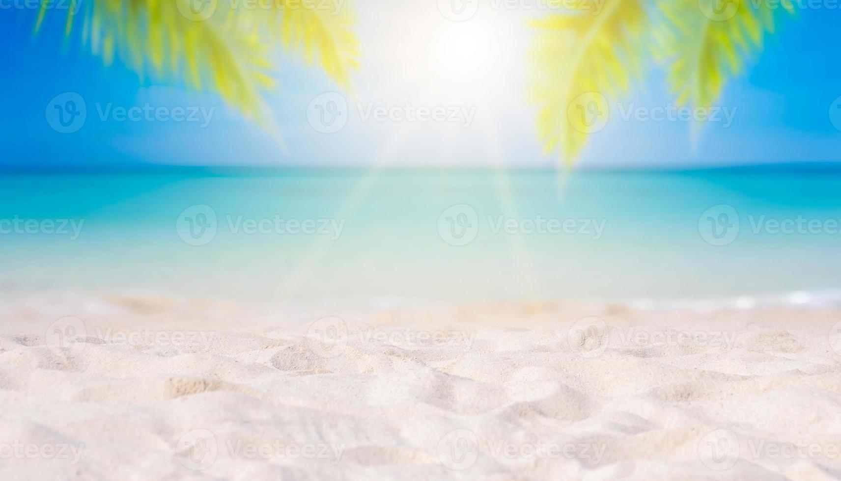 férias de verão praia de areia branca com espaço para texto folhas de coco moldura traseira vista para o mar piso energético foto