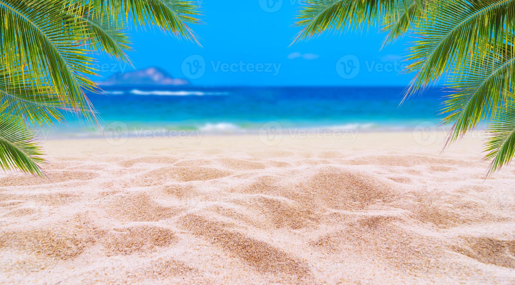 férias de verão praia de areia branca com espaço para texto folhas de coco moldura traseira vista para o mar piso energético foto