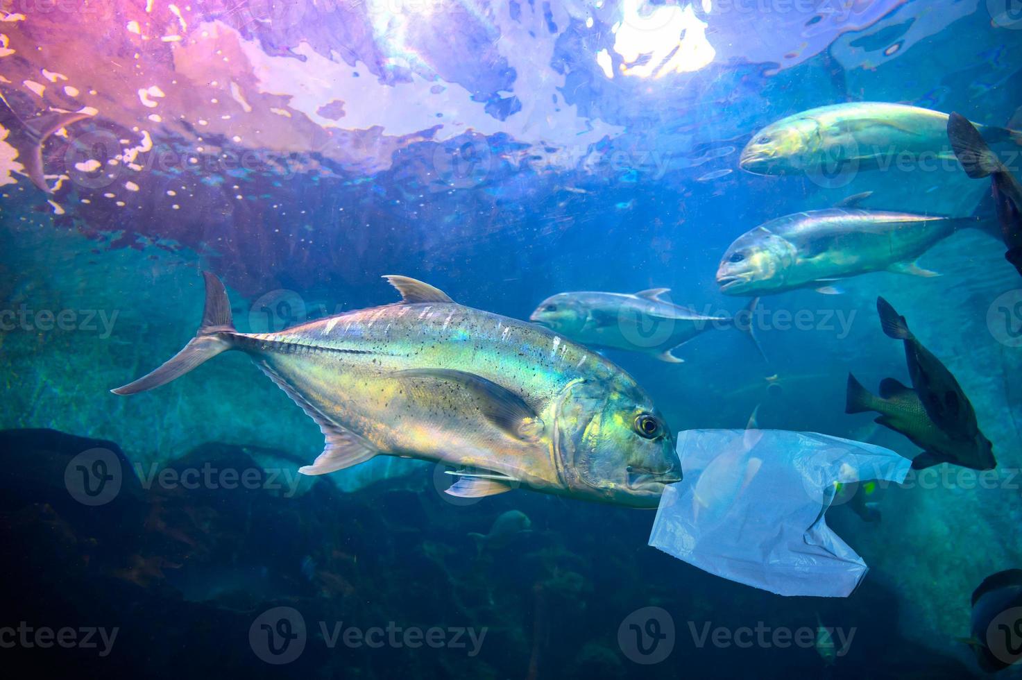 peixes estão comendo sacos plásticos sob o mar azul. conceitos de preservação ambiental e não jogar lixo no mar. foto