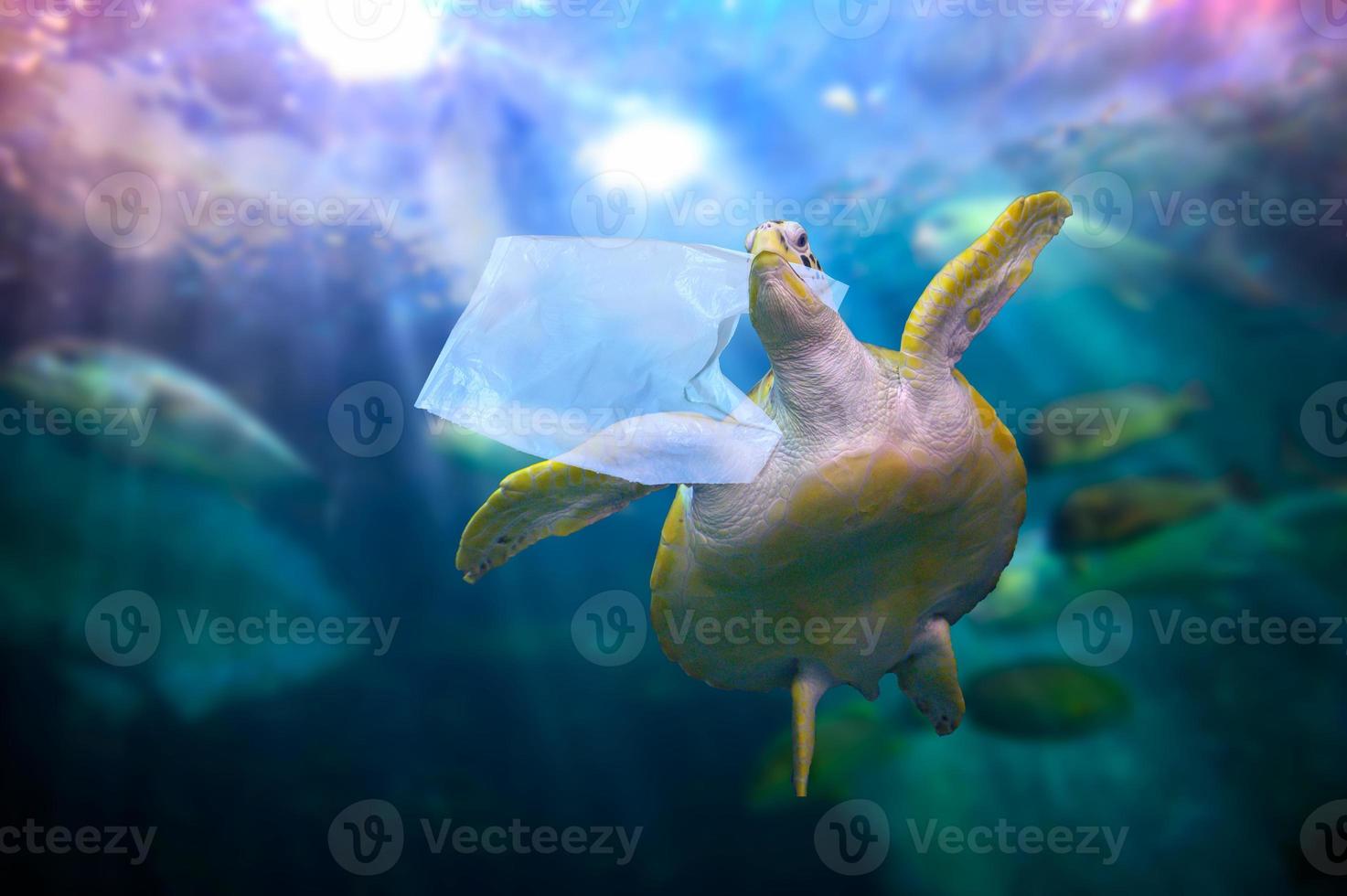tartarugas oceânicas de plástico estão comendo sacos plásticos sob o mar azul. conceitos de preservação ambiental e não jogar lixo no mar foto
