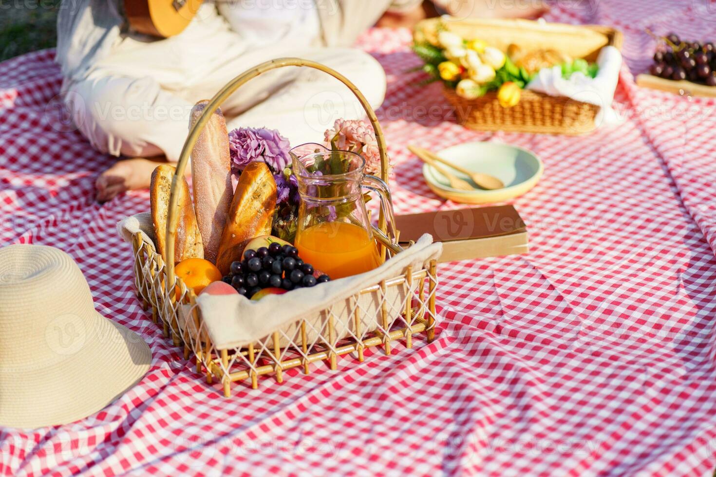 piquenique almoço refeição ao ar livre parque com Comida piquenique cesta. desfrutando piquenique Tempo dentro parque natureza ao ar livre foto