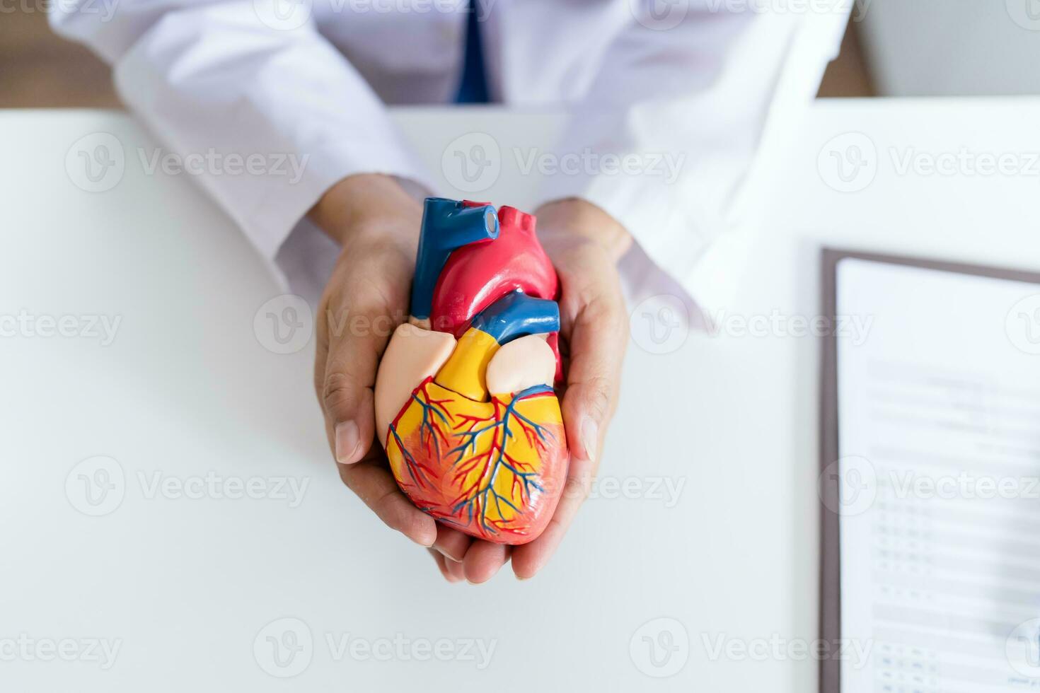 médico com anatômico modelo do humano coração cardiologista apoia a coração. coração diagnosticar médico checar cardiologista dentro exame quarto foto