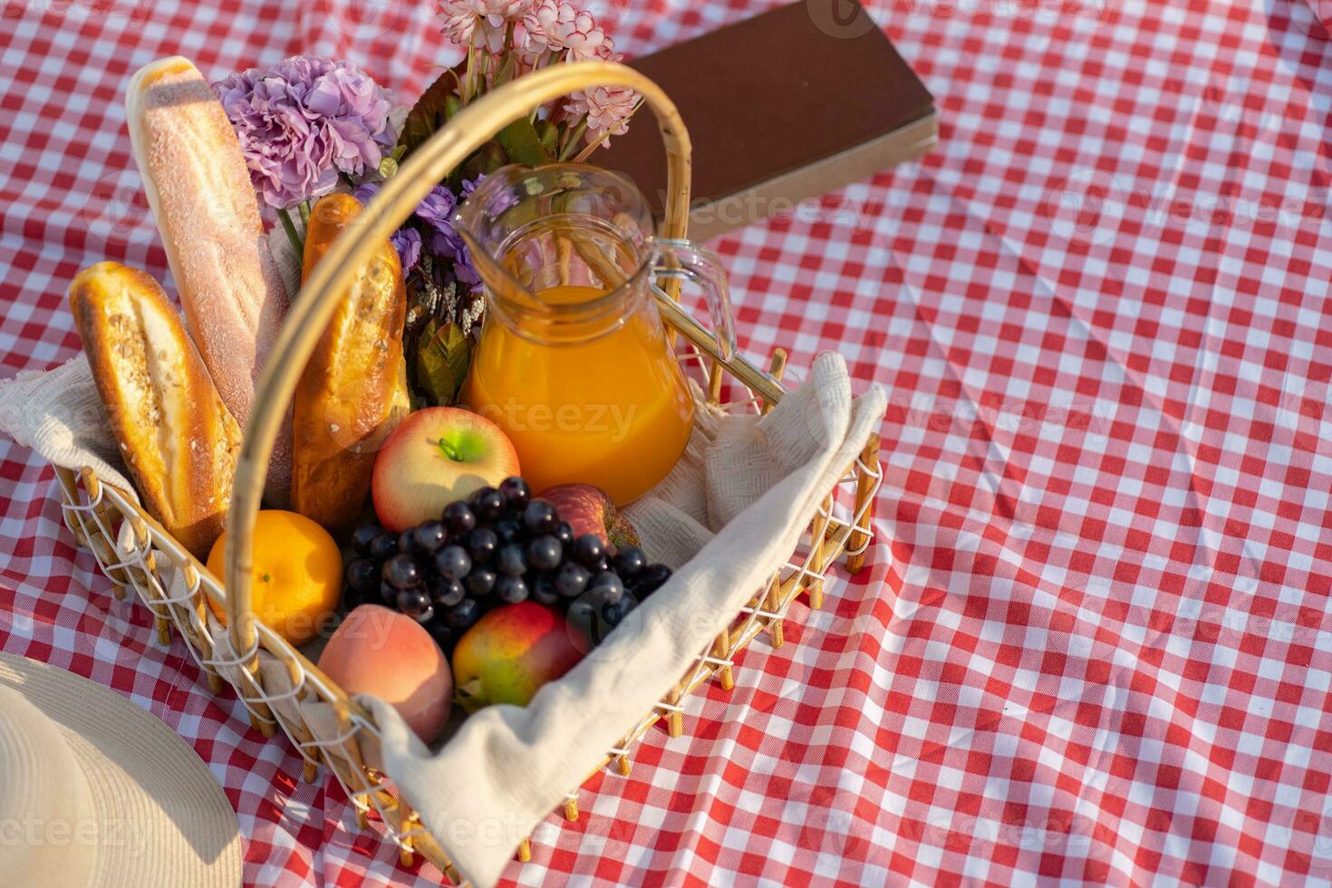 piquenique almoço refeição ao ar livre parque com Comida piquenique cesta. desfrutando piquenique Tempo dentro parque natureza ao ar livre foto