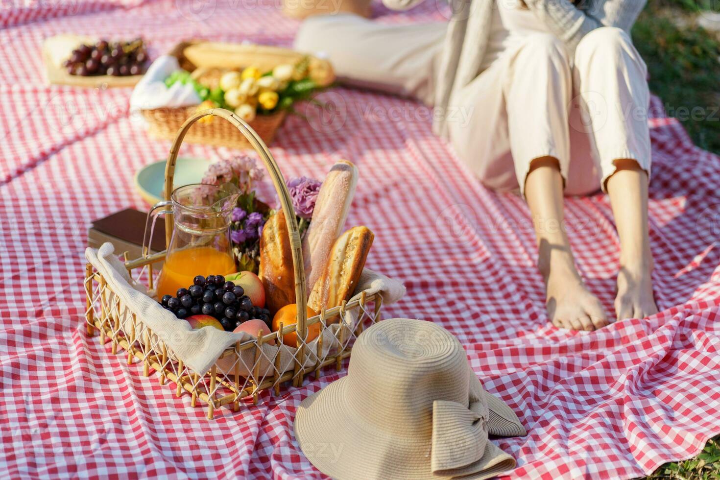 piquenique almoço refeição ao ar livre parque com Comida piquenique cesta. desfrutando piquenique Tempo dentro parque natureza ao ar livre foto