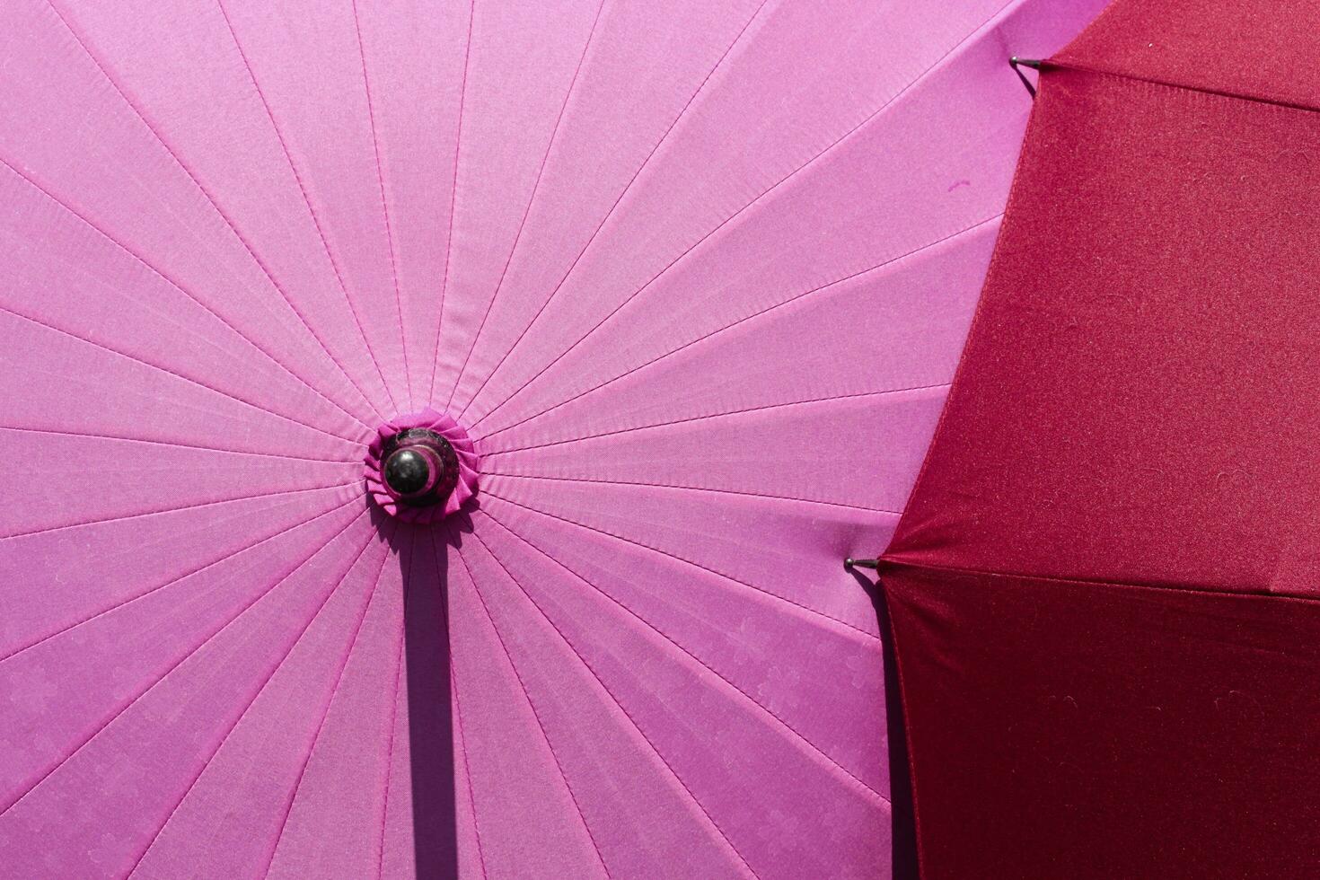 japonês guarda-chuva com sakura padronizar. quando obtendo molhado, padrões vai aparecer. foto
