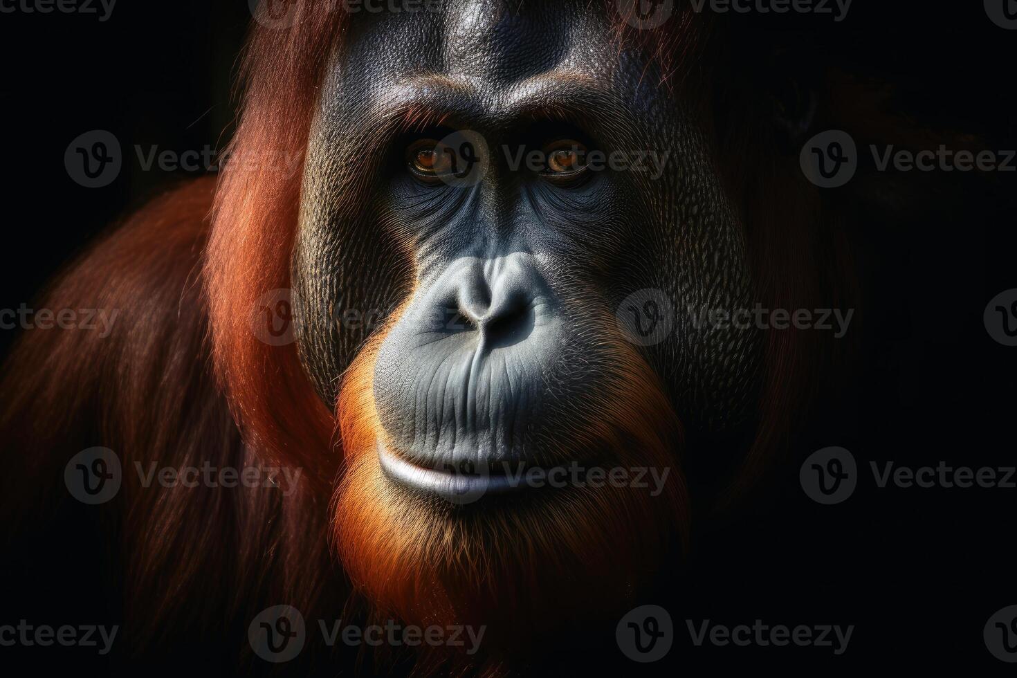 fechar acima Visão do a orangotango utan contra uma Sombrio fundo criada com generativo ai tecnologia. foto