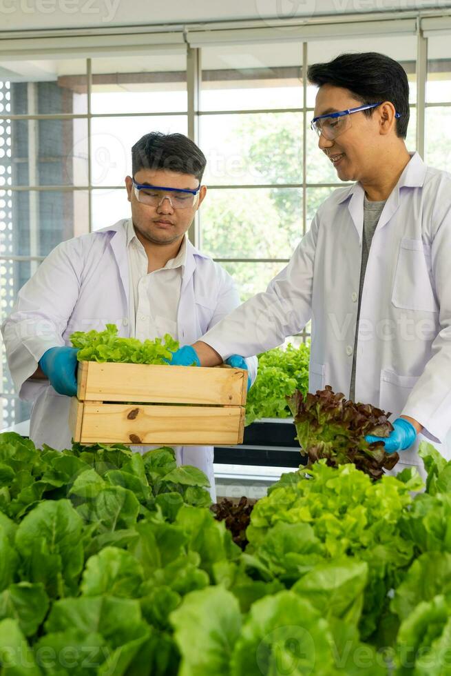 cientista equipe fazendo experimentar dentro agricultura laboratório para desenvolver genético modificação cultivo foto