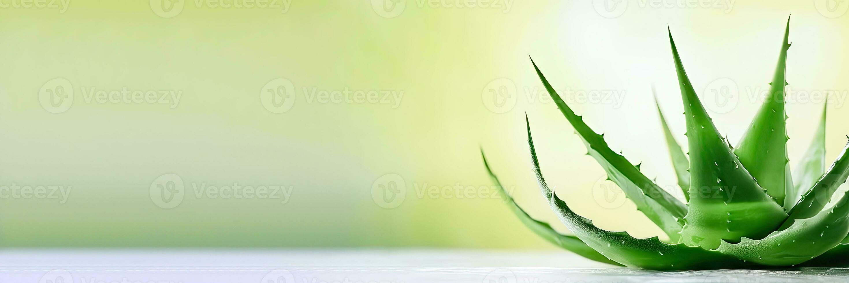 verde oásis - aloés folhas e suco para cosméticos marketing - generativo ai foto