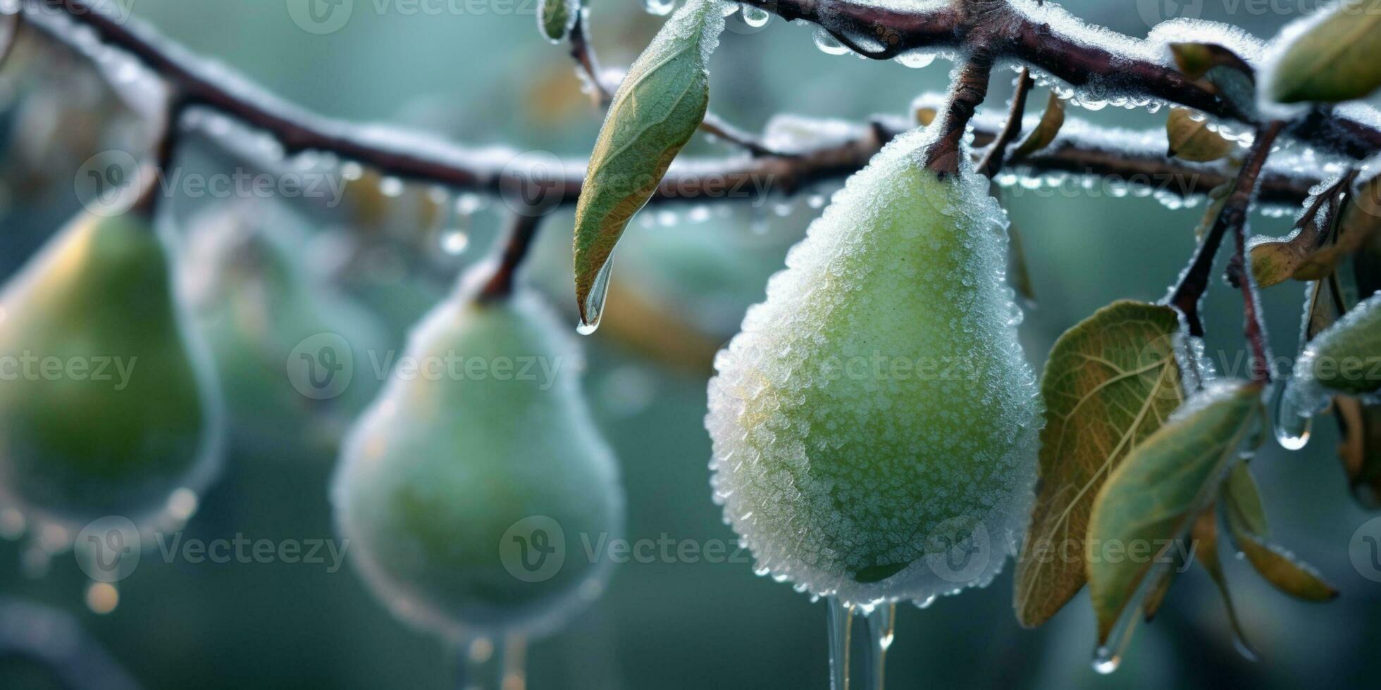 gelo tempestade árvores e pera fruta congelar dentro inverno, ai gerado foto