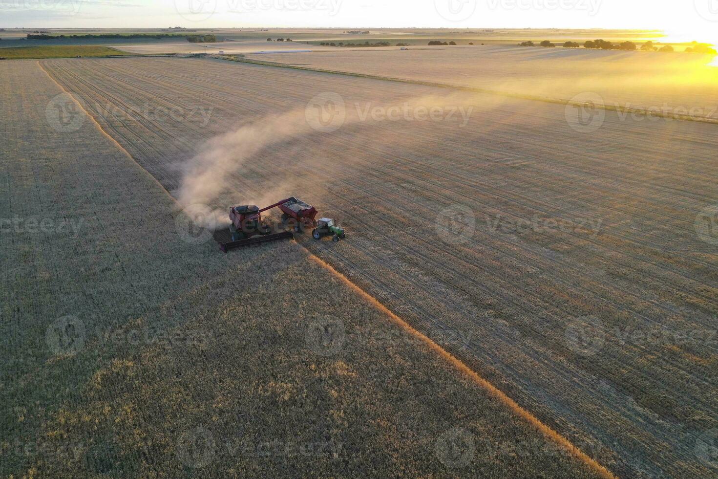 cevada colheita aéreo visualizar, dentro la pampa, Argentina. foto