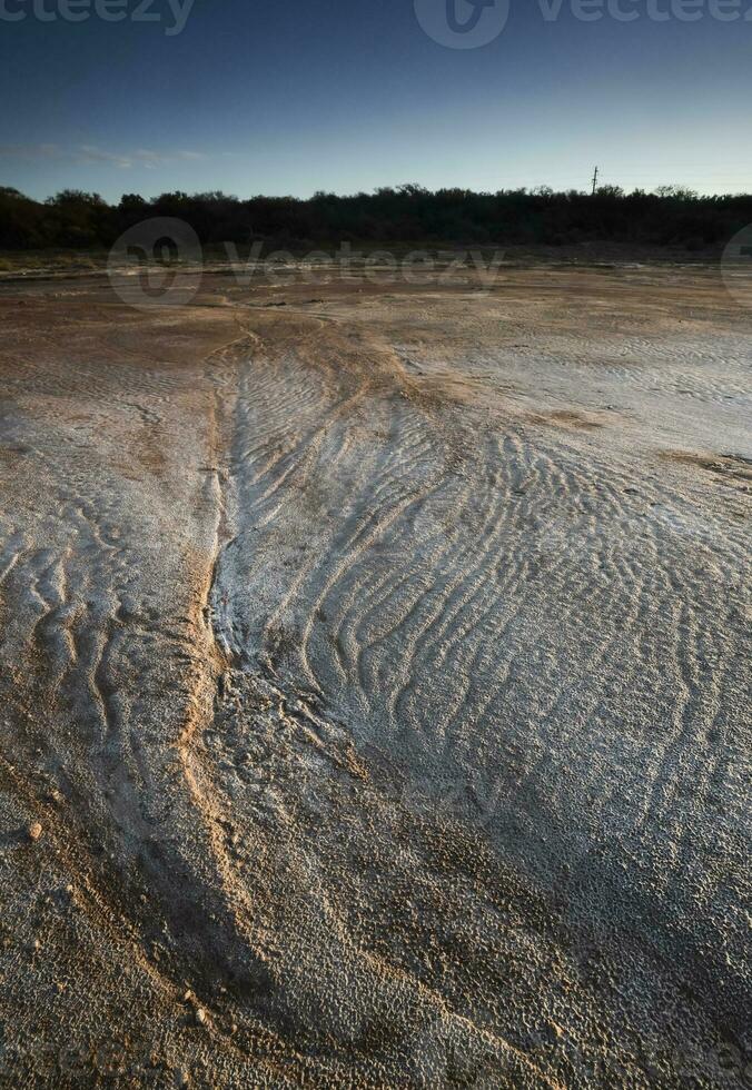 semi deserto meio Ambiente paisagem, la pampa província, Patagônia, Argentina. foto