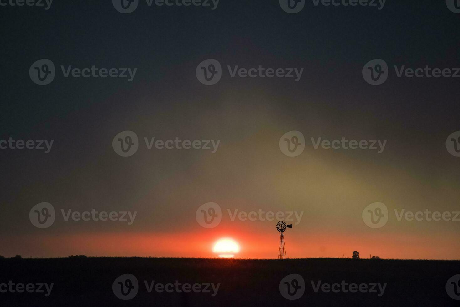 pampas árvore panorama às pôr do sol, la pampa província, Argentina foto