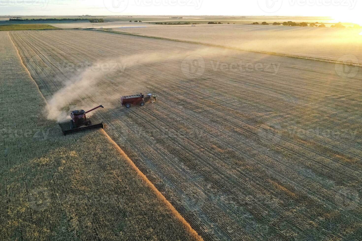 cevada colheita aéreo visualizar, dentro la pampa, Argentina. foto