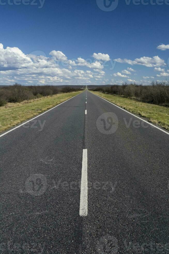 rota dentro a pampas simples, Patagônia, Argentina foto