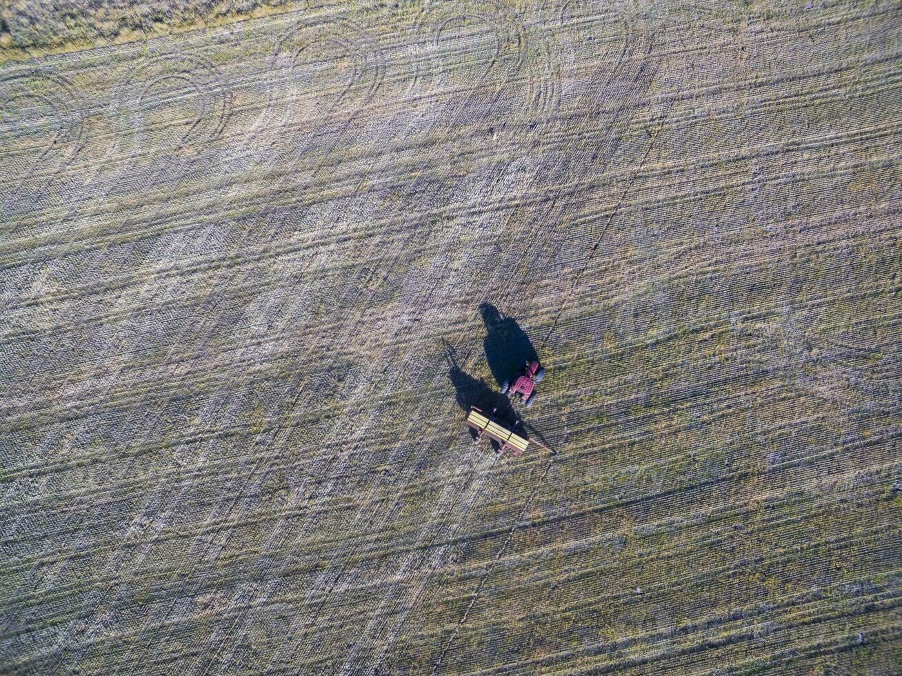 trator e semeador, direto semeadura dentro a pampa, Argentina foto