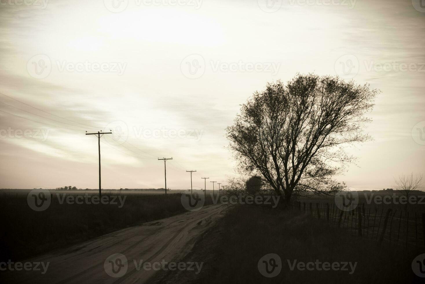 panorama com moinho de vento às pôr do sol, pampas, Patagônia, Argentina foto