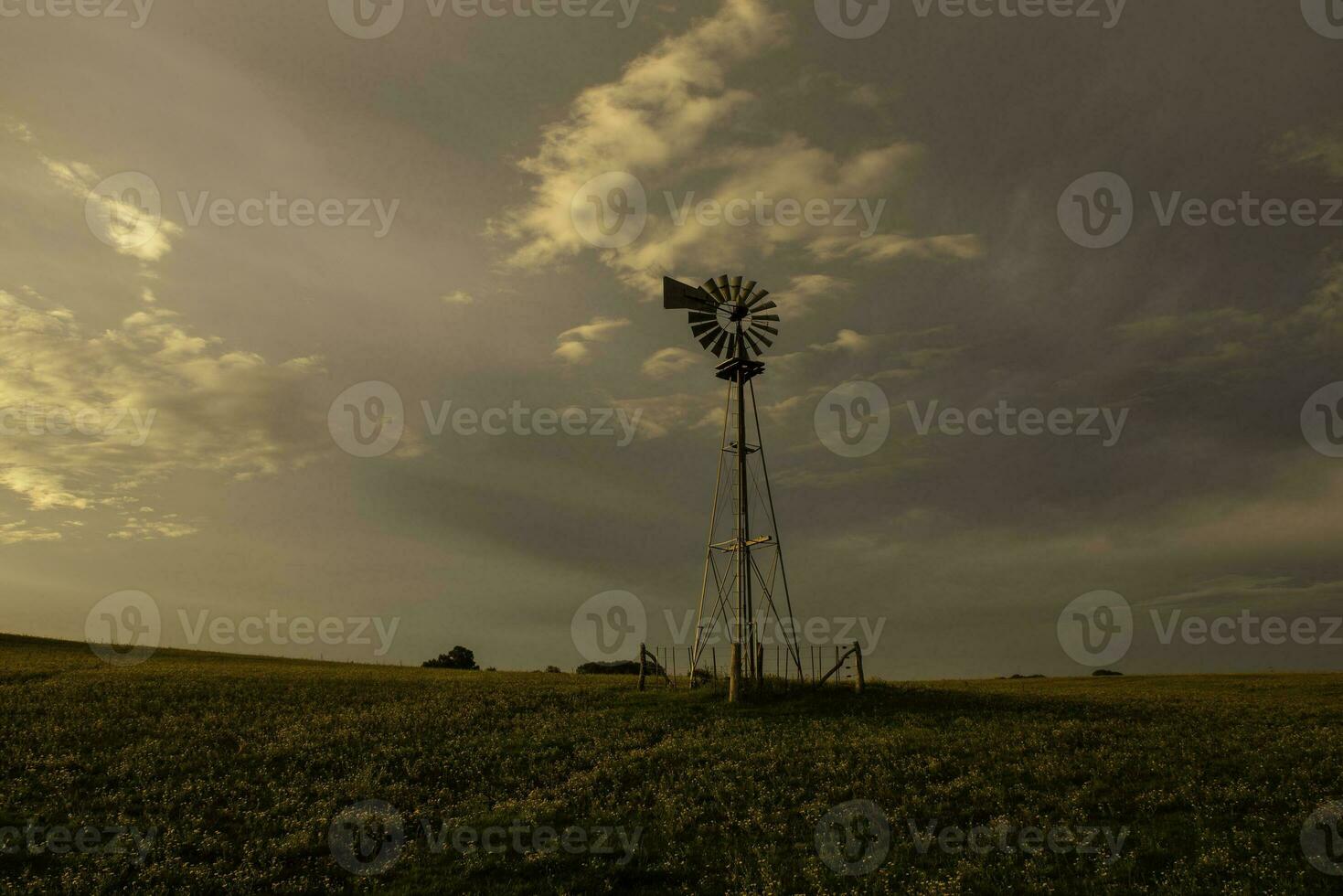 moinho de vento dentro campo às pôr do sol, pampas, Patagônia, Argentina. foto