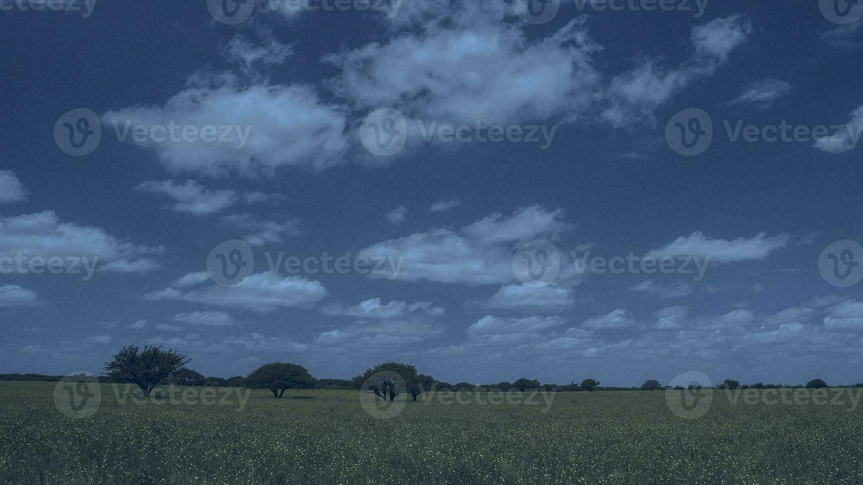 pampas panorama Argentino pampas, la pampa província, Patagônia, Argentina foto