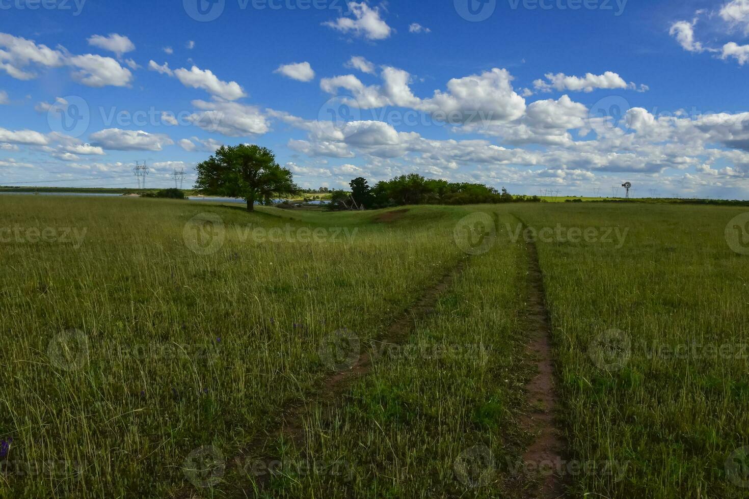 Primavera estação paisagem, la pampa foto