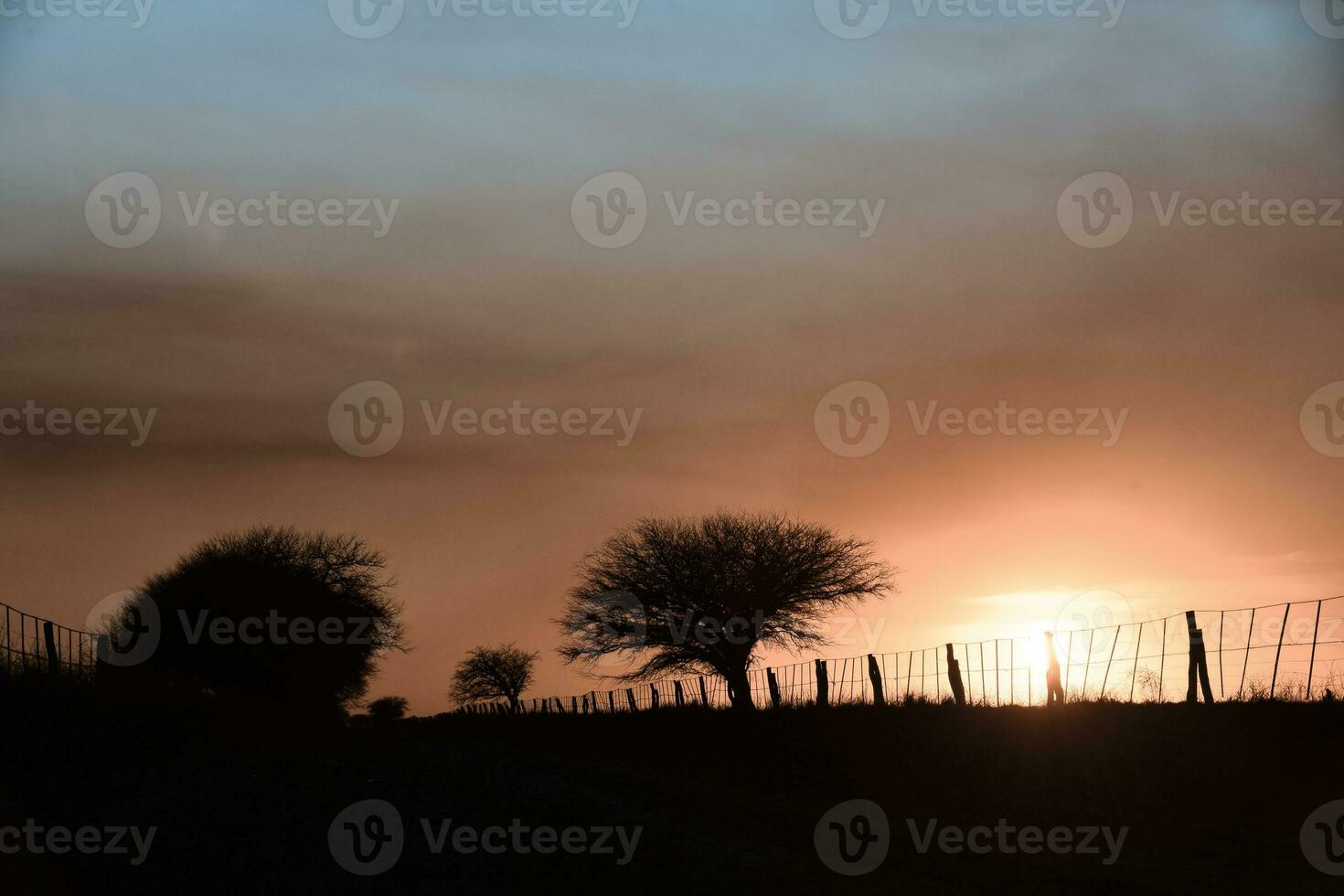 rural pôr do sol paisagem, Buenos aires província , Argentina foto