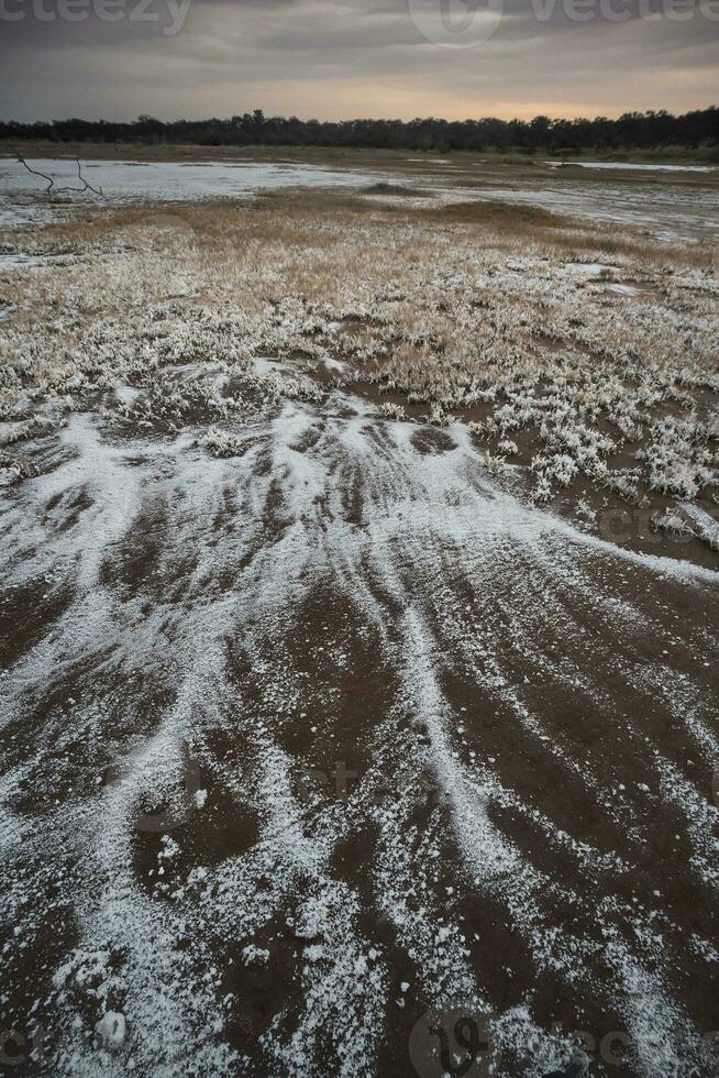 salitre em a chão do uma lagoa dentro uma semi deserto ambiente, la pampa província, Patagônia, Argentina. foto