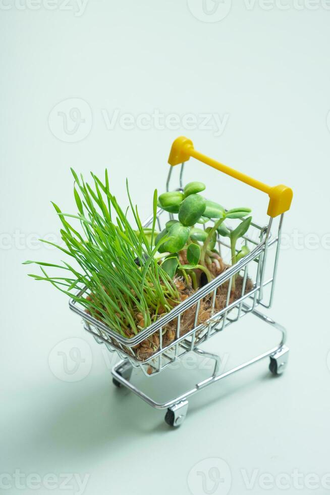 germinado microgreen dentro compras carrinho em verde fundo vertical formatar. foto