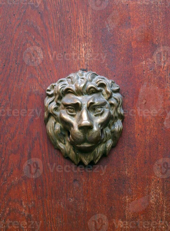 bronze cabeça do leão em vermelho de madeira textura. cabeça do leão em vermelho porta. foto