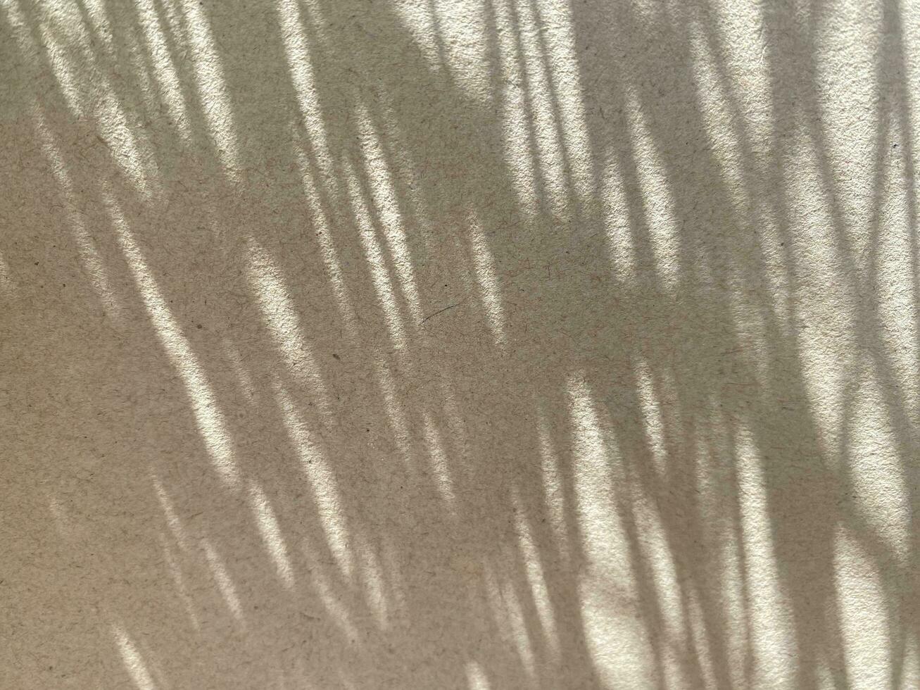 folhas sombra fundo em concreto parede textura, folhas árvore galhos sombra foto