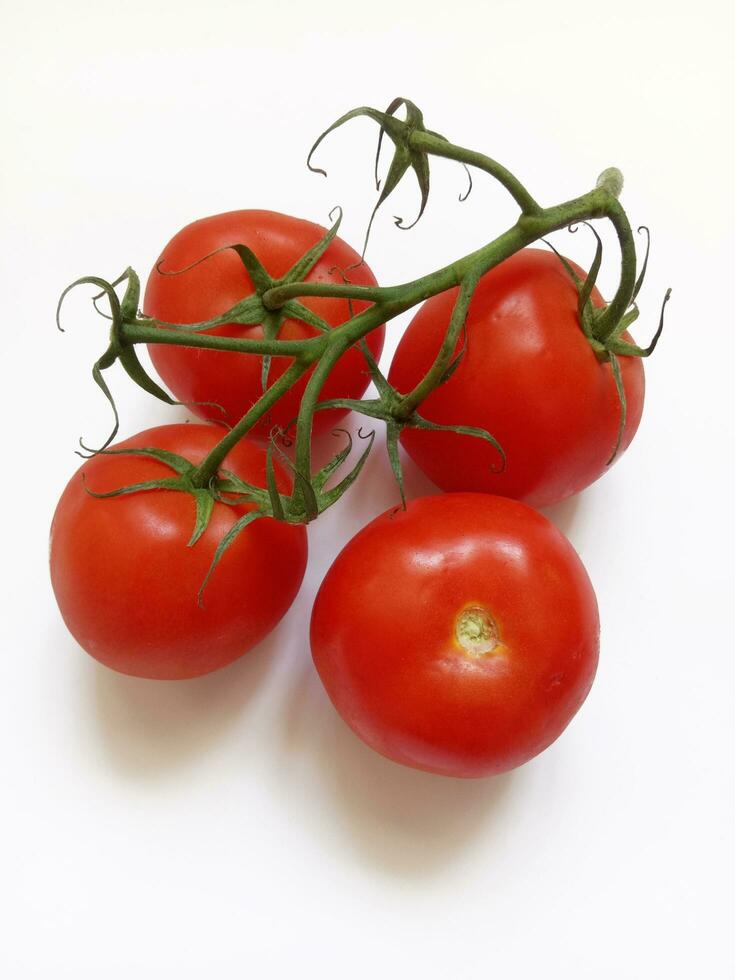 maduro tomates em uma ramo em uma branco fundo foto
