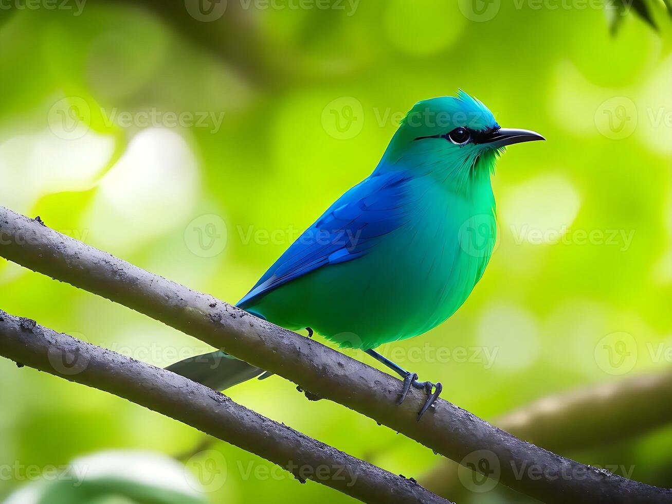 seletivo foco tiro do uma lindo verde trepadeira pássaro empoleirado em uma ramo ai gerado foto