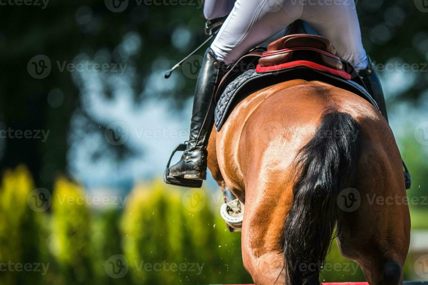 profissional cavalo cavaleiro pulando sobre a obstáculo em mostrar pulando concorrência. equestre esporte tema. foto