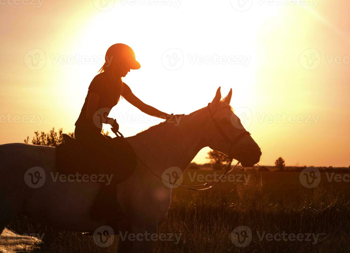 a silhueta do uma cavalo cavaleiro tapinhas dela cavalo contra a fundo do pôr do sol. foto