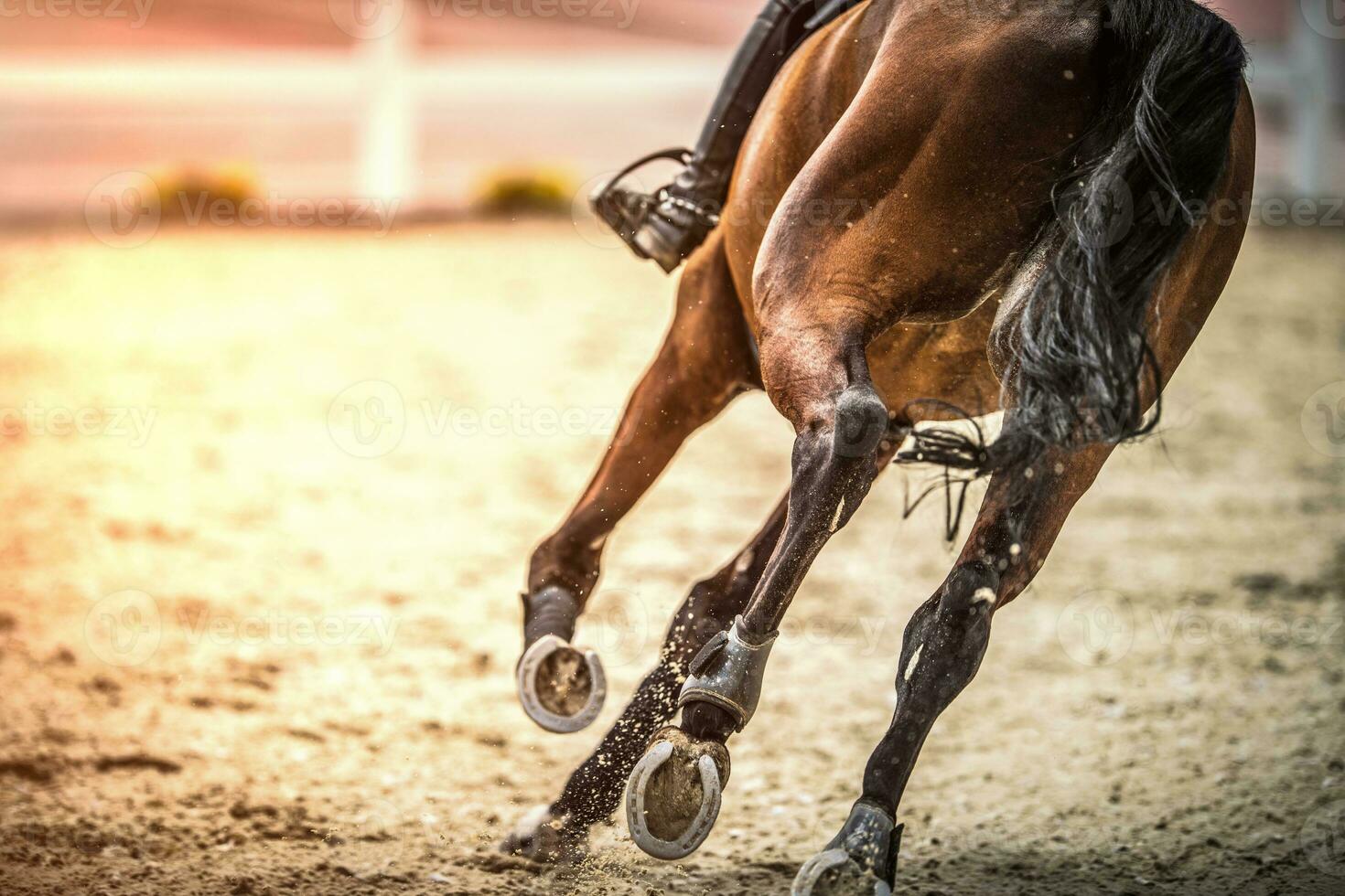 esporte cavalo dentro dinâmico movimento foto