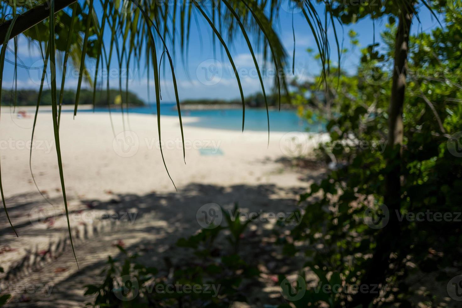 a praia de sentosa em cingapura foto