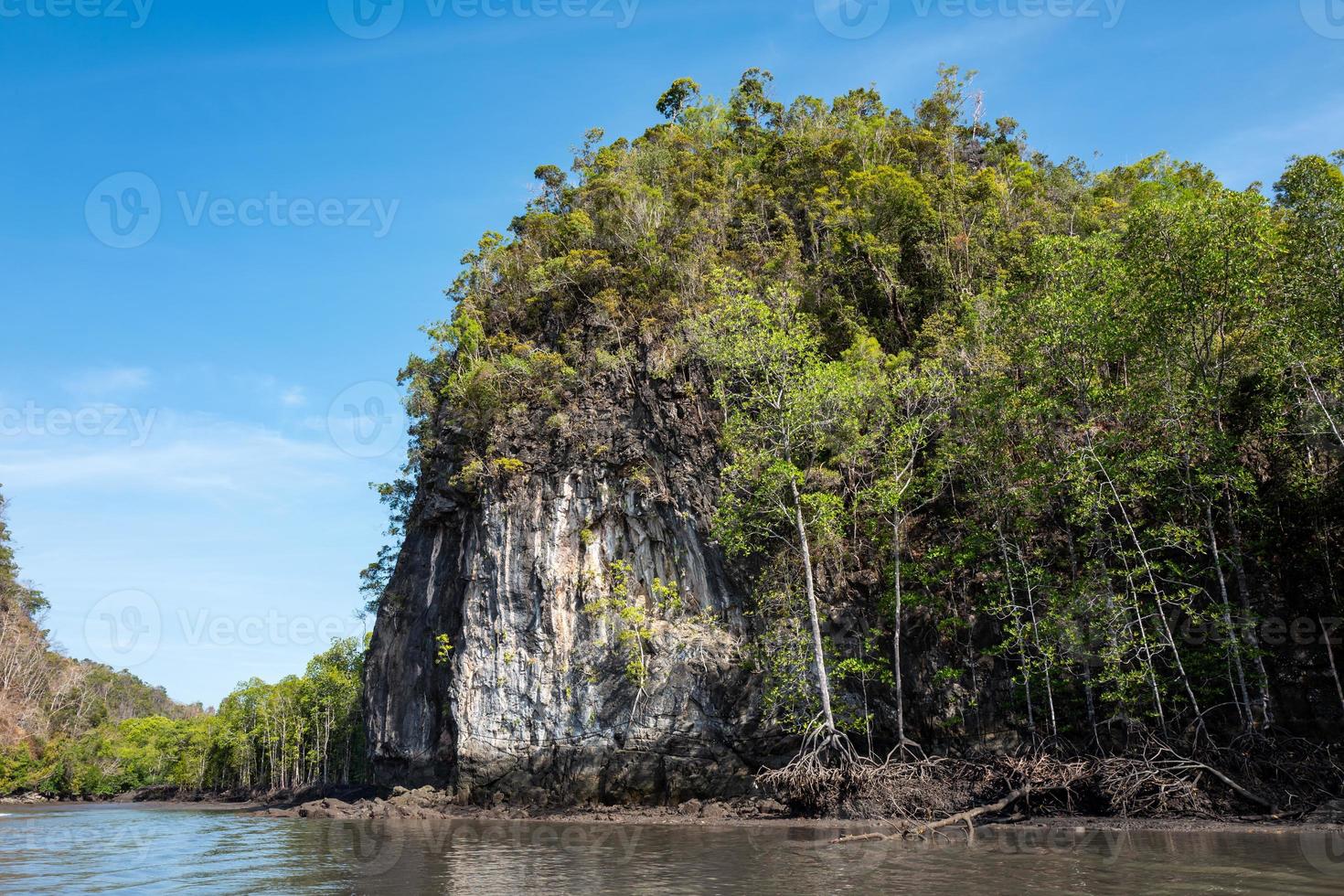 passeio pelos manguezais na geofloresta cárstica de kilim em Langkawi foto